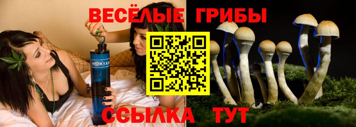 Бузулук  Псилоцибиновые грибы Psilocybine cubensis  Вход с VPN 
